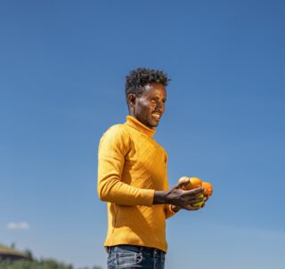 farmertomatoesethiopiaabu chalaaddias aemerofieldfarming