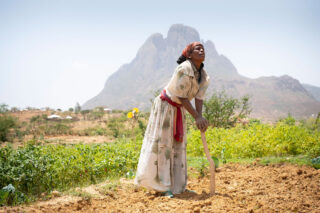 Likestilling_klimatilpasning_kvinner_Etiopia