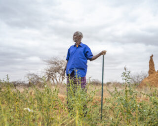 FarmHarvestIrrigation systemDrought