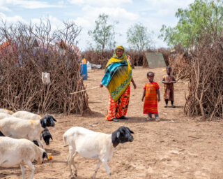 farmercooperativeself help groupwomenempowermentbusiness