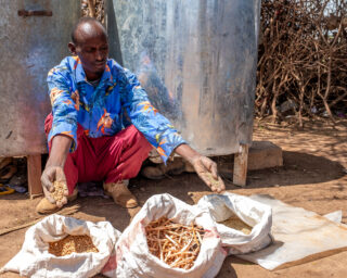 farmfarmerdroughtwatertractorsoildonkeygrainswaterwater dam