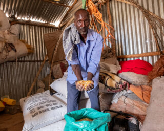 farmfarmerdroughtsheepcowschilliwater