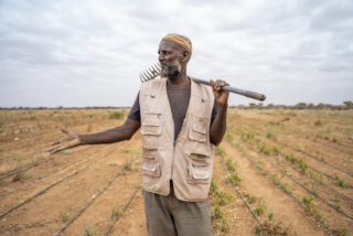 FarmerFieldIrrigation systemDroughtCamel