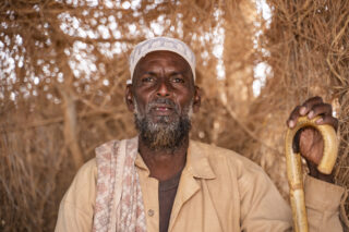 FarmerFieldIrrigation systemDroughtCamel