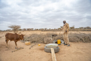 FarmerFieldIrrigation systemDroughtCamel