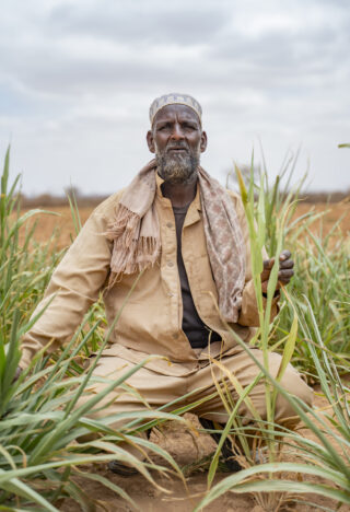 FarmerFieldIrrigation systemDroughtCamel
