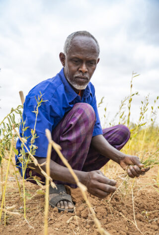 FarmHarvestIrrigation systemDrought