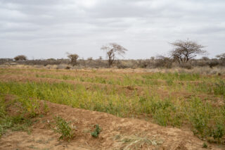 FarmHarvestIrrigation systemDrought