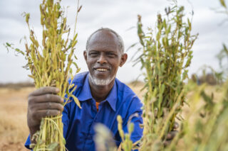 FarmHarvestIrrigation systemDrought