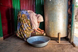 farmerdroughtcowwomenwomangrainsshopmarket