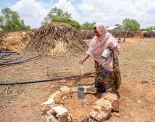 farmerdroughtcowwomenwomangrainsshopmarket