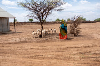 farmercooperativeself help groupwomenempowermentbusiness