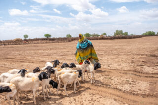 farmercooperativeself help groupwomenempowermentbusiness