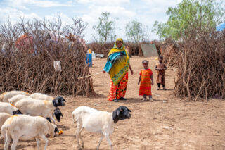 farmercooperativeself help groupwomenempowermentbusiness