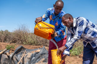 farmfarmerdroughtwatertractorsoildonkeygrainswaterwater dam