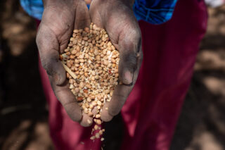 farmfarmerdroughtwatertractorsoildonkeygrainswaterwater dam