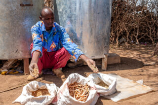 farmfarmerdroughtwatertractorsoildonkeygrainswaterwater dam