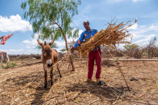 farmfarmerdroughtwatertractorsoildonkeygrainswaterwater dam
