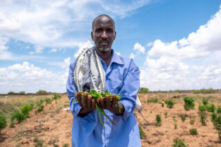 farmfarmerdroughtsheepcowschilliwater