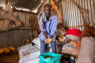 farmfarmerdroughtsheepcowschilliwater