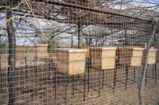 FarmerFieldDroughtFamily