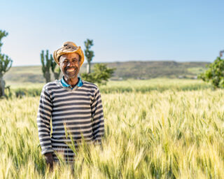 farmerGemechu Tola Nishuaddis aemero ethiopia wheat cropsfield
