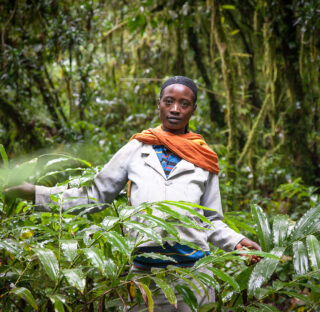 Kvinne i etiopisk regnskog