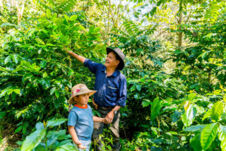 Mann og barn viser frem kaffeplanter