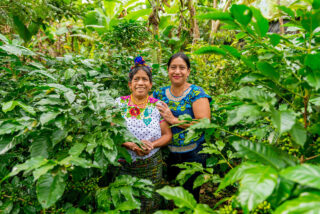 Kvinner står foran kaffeplanter
