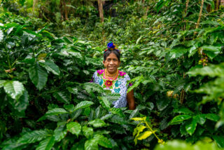 Klimatilpasning Guatemala, kvinne i frodig skog